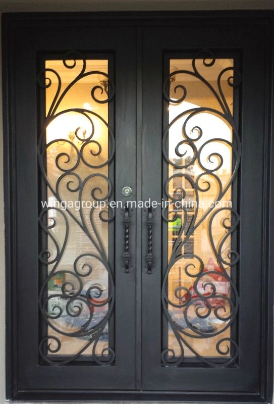 Decorate Arc Glass Wrought Iron Steel Security Door Wg-Sg-08