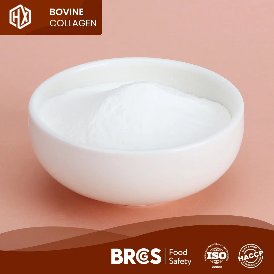 Haoxiang Bulk Comprar Alimentos Grado colágeno Peptide piel bovina de alta calidad Colágeno China Fabricación Mayoreo piel de bovino Hide Hidrolizado péptidos de colágeno