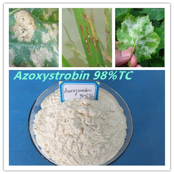 Insecticide Azoxystrobin Technical MSDS Azoxystrobin Mancozeb for Tomato