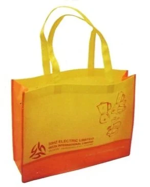 Green Non-Woven Gift Packaging Bags for Garments (FLN-9089)