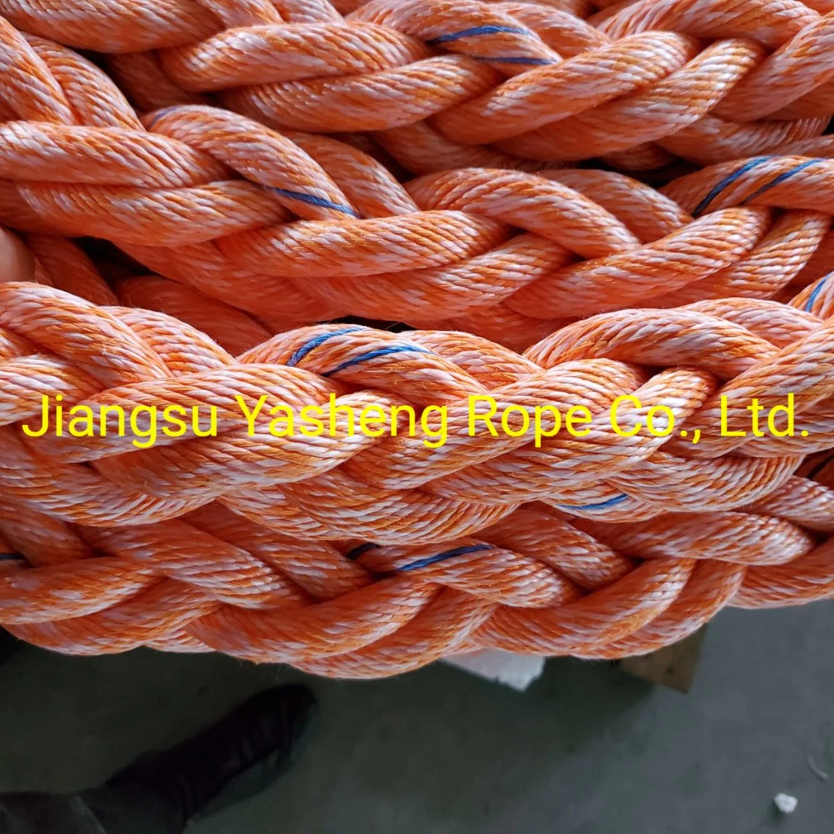 8/12/24 Strand PP Mooring Rope for Marine Fishing Offshore Use