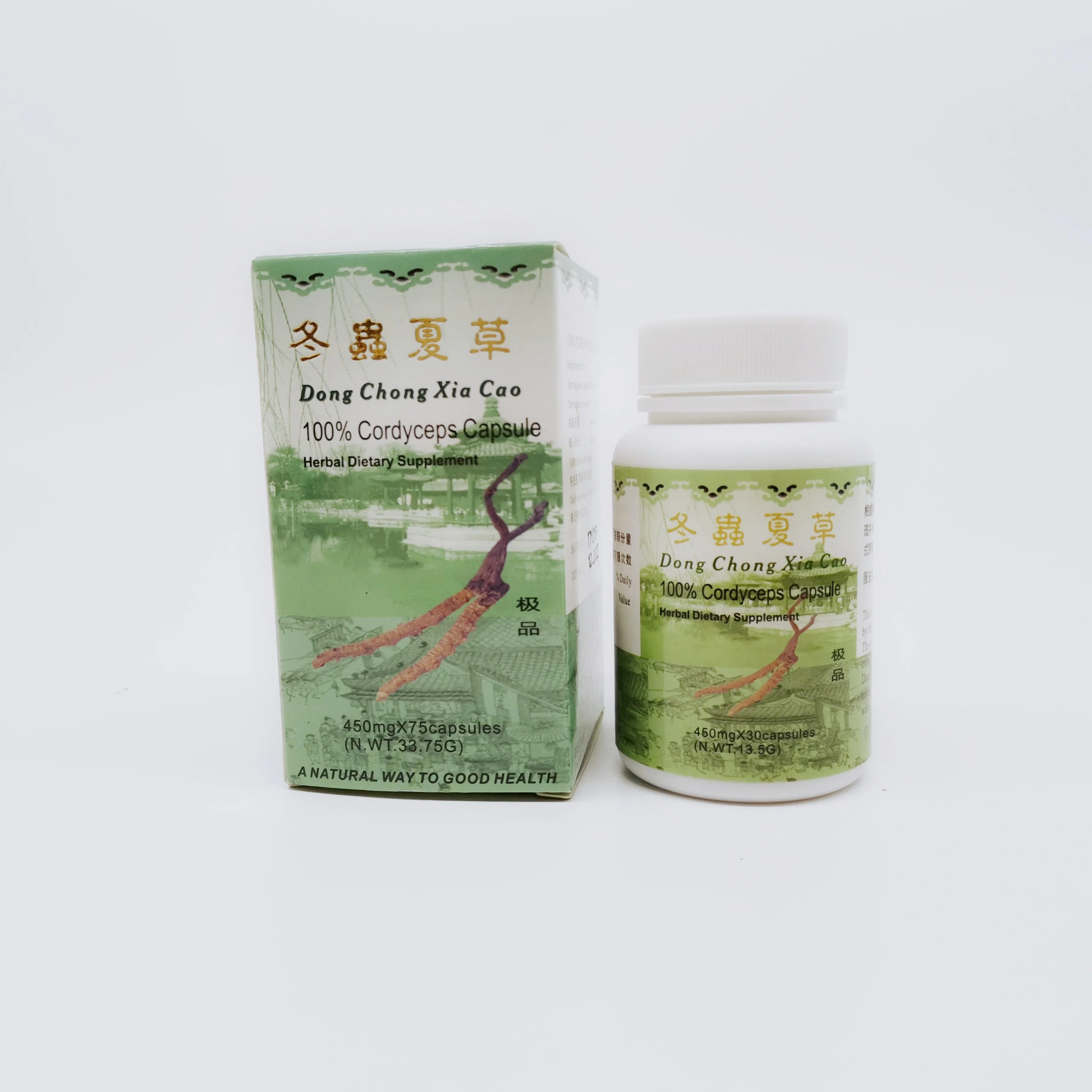 Health Food for Resisting Inflammation and Kidney Failure Cordyceps Capsule