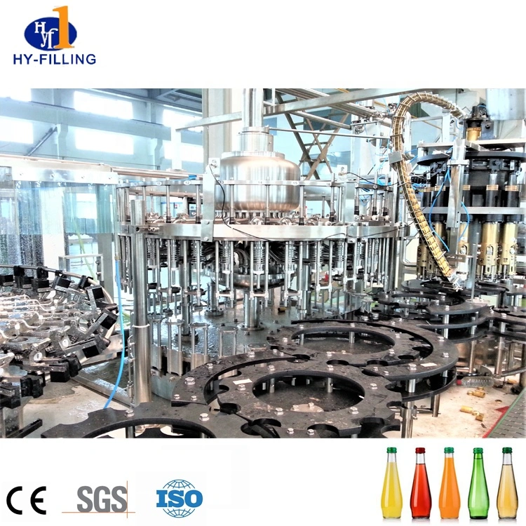 Hy-Filling 2019 Complete Fruit Juice Processing Line Juice Filling Plant on Sale for Glass Bottles