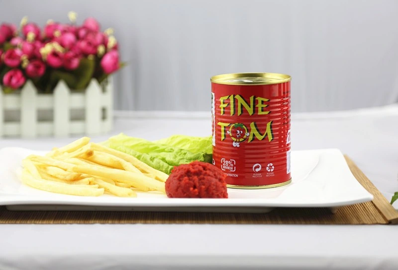 Canned Tomato Paste with Best Price