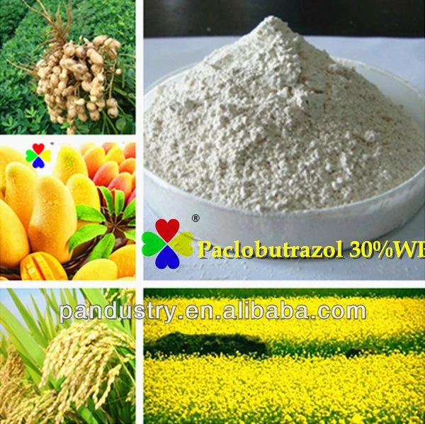 Paclobutrazol 15%Wp Powder Paclobutrazole Price CAS 76738-62-0