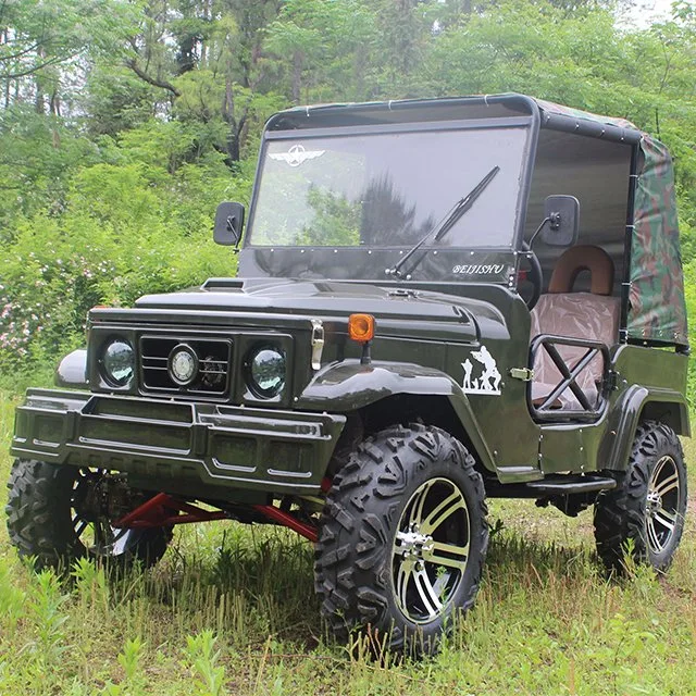 China Cheap Gasoline Powered Mini Jeep with Two Luxury Seat (MC-432)