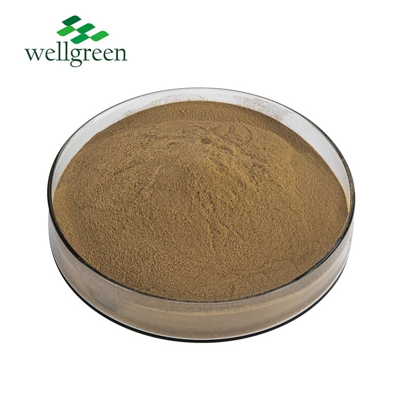 Usine Wellgreen faible prix de la poudre en vrac extrait d'Aloès naturel extrait de l'Aloe Vera 16 % aloïne en poudre