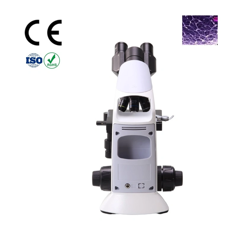 Instrumento de laboratorio Thrinocular Microscopio con condensador Abbe