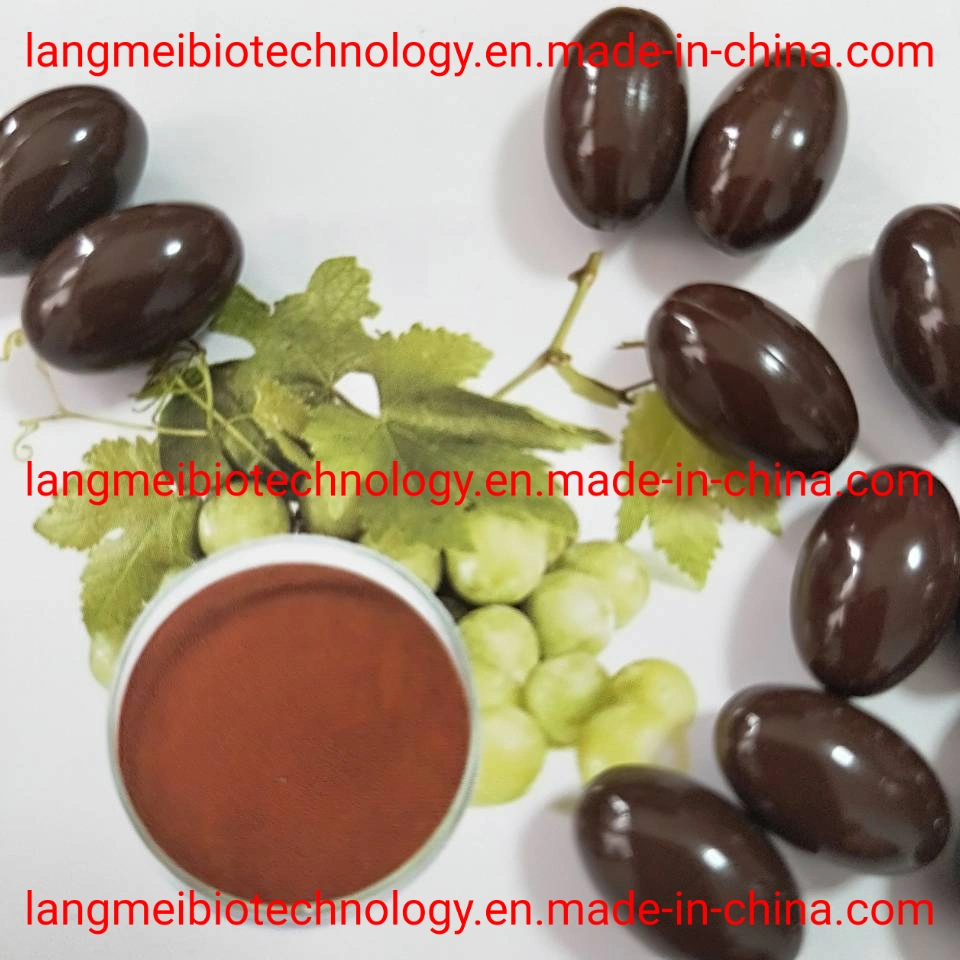 Antioxidant Supplement Grape Seed Extract Capsules in Beauty & Personal Care