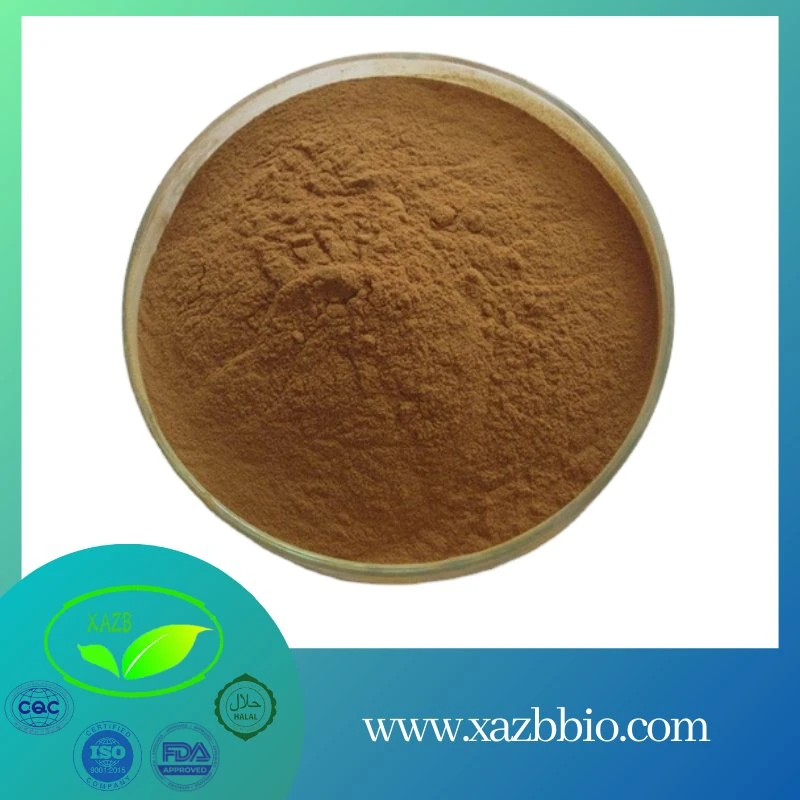 High Quality Milk Thistle Extract Silymarin Silybum Marianum