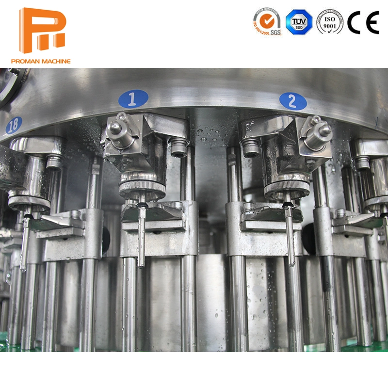 Plastic Bottle Gas Carbonated Beverage Drinking Pure Water Filling Bottling Plant Device