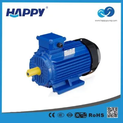 Einstufiger Happy Carton Case CE, ISO9001 Benzinwasserpumpenmotor