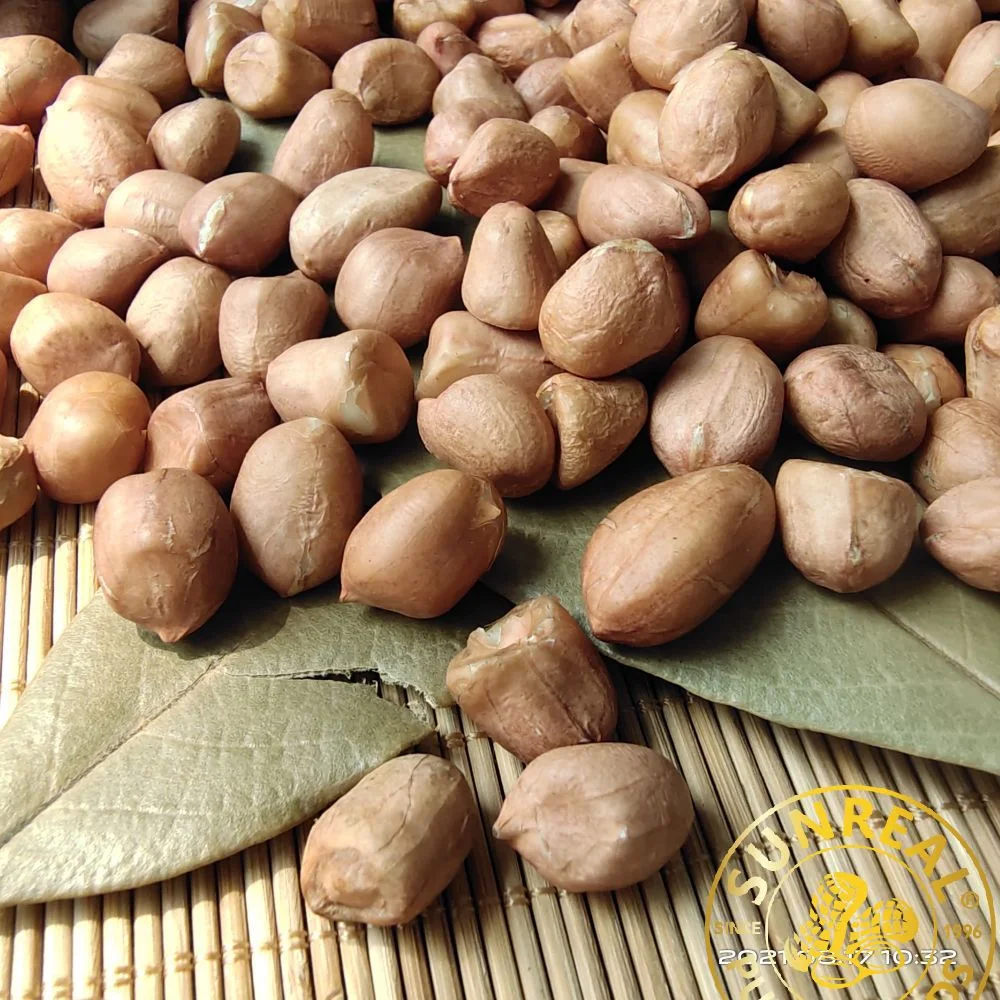 Raw Peanut Kernels/Hsuji Type 35/40 /Vacuum Bags&Cartons/for Frying/Snacks Materials