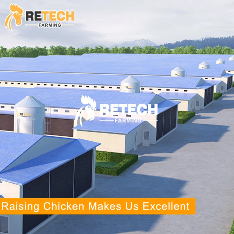 Broiler poultry farm equipment chicken house with feeding equipment