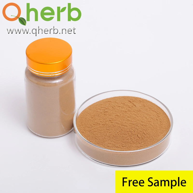 Astragalus Membranaceus Extract 0.5% HPLC 4&rsquor; -Hydroxy-3&rsquor; -Methoxyisoflavone-7-Sug