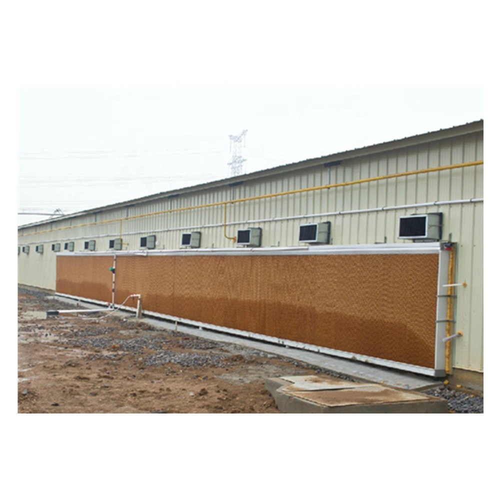 High quality/High cost performance  Poultry Cooling System Equipment