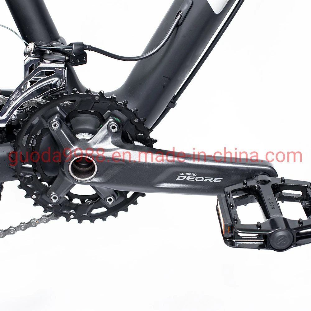 La fibra de carbono Bicicleta Mountain Bike 22 Velocidad bicicleta MTB OEM