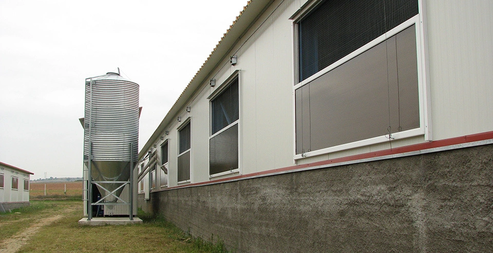 Granja de pollos de aves de corral galvanizado materiales de construcción de diseño de la casa Filipinas