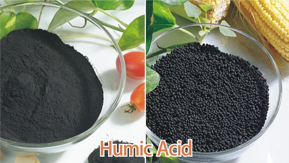 30% off Best Seller Agricultural Fertilizer 100% Water Soluble Potassium Humate Humic Acid