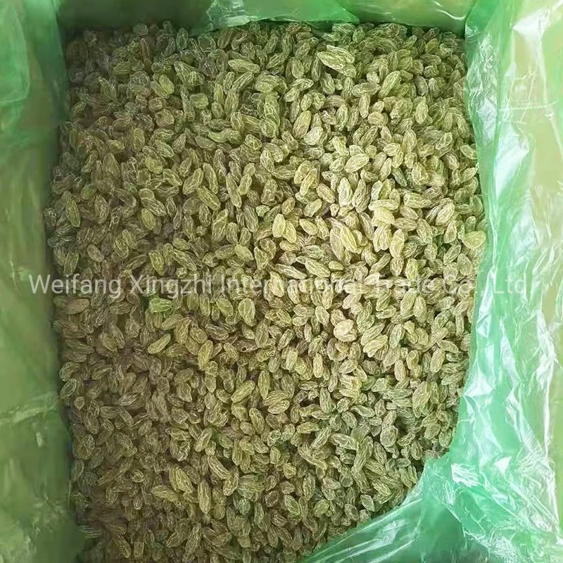 Xinjiang Factory Low Price Top Quality Dried Raisins