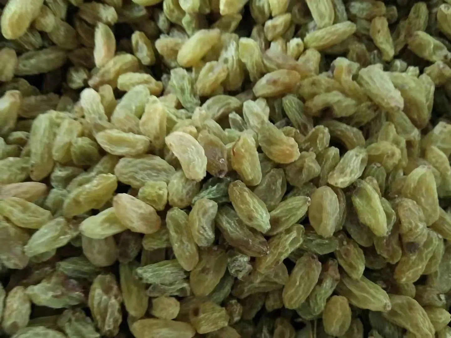 90%-95% Green Raisins China Origin Factory Supply