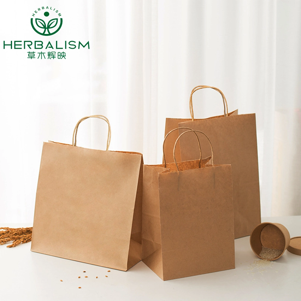 Recycled Retail Grocery Shopping Packaging Fast Food Take Away Kraft Paper Bag