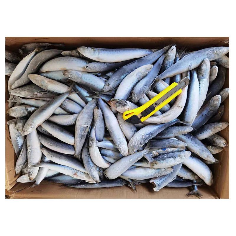Toda a rodada congelados peixes sardinha sardinhas congeladas Sagax 50-80g