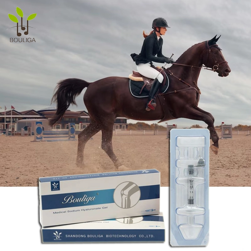 Racehorses Knee Care Sodium Hyaluronate Equine Joint Injections for Sale