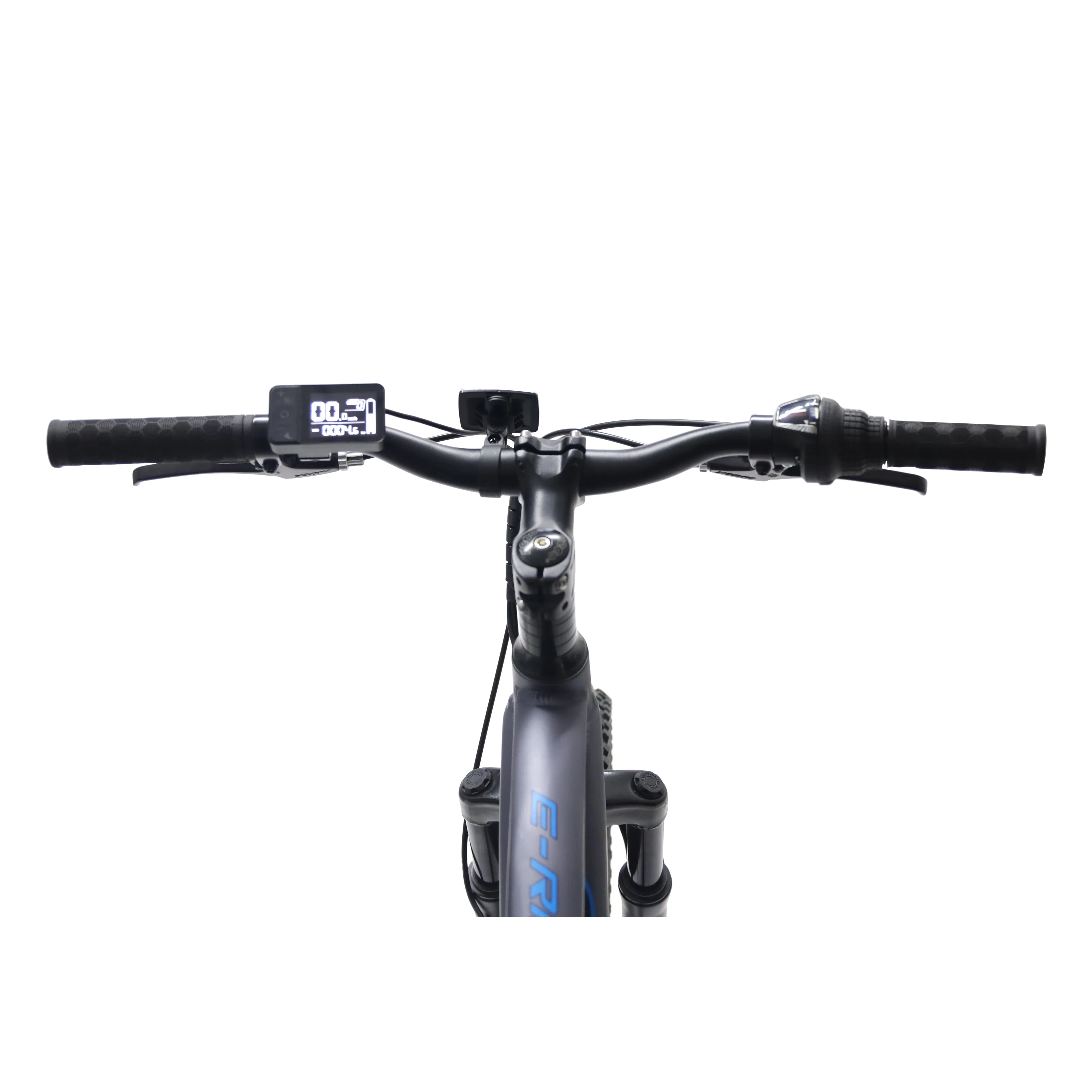 2022 Most Popular Wholesale/Supplier Cheap Fat Tire Dirt Lithium Battery 7 Speed Trunk LCD Display Dirt Bike MID Drive Motor Electric Bicycle