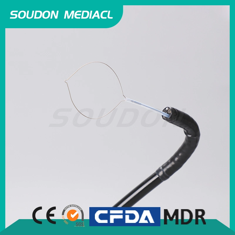 Catheter Guidewire Zebra Medical Use for Ercp with CE Made in Original Factory in Best Wholesale/Supplier Prirce