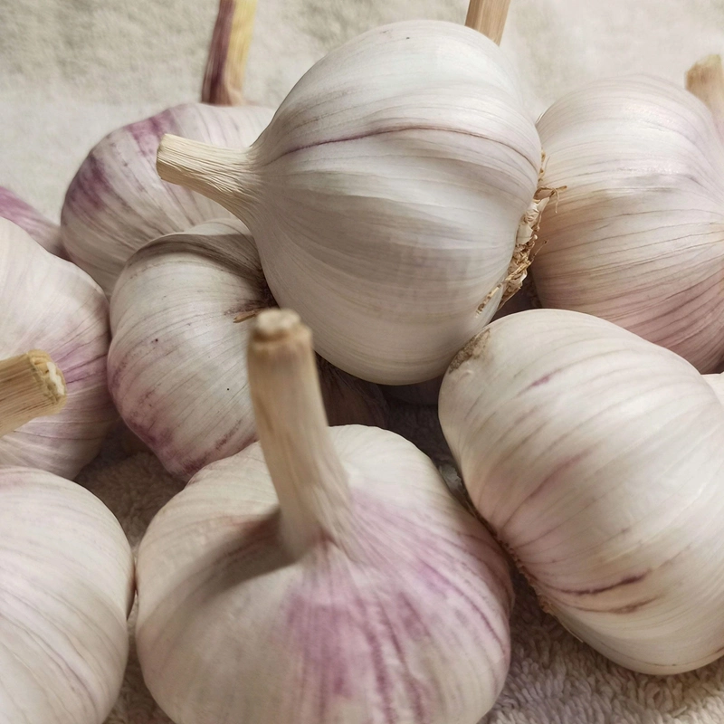 China Origin High quality/High cost performance  Food Grade Dehydrated Garlic Fried Garlic Flakes