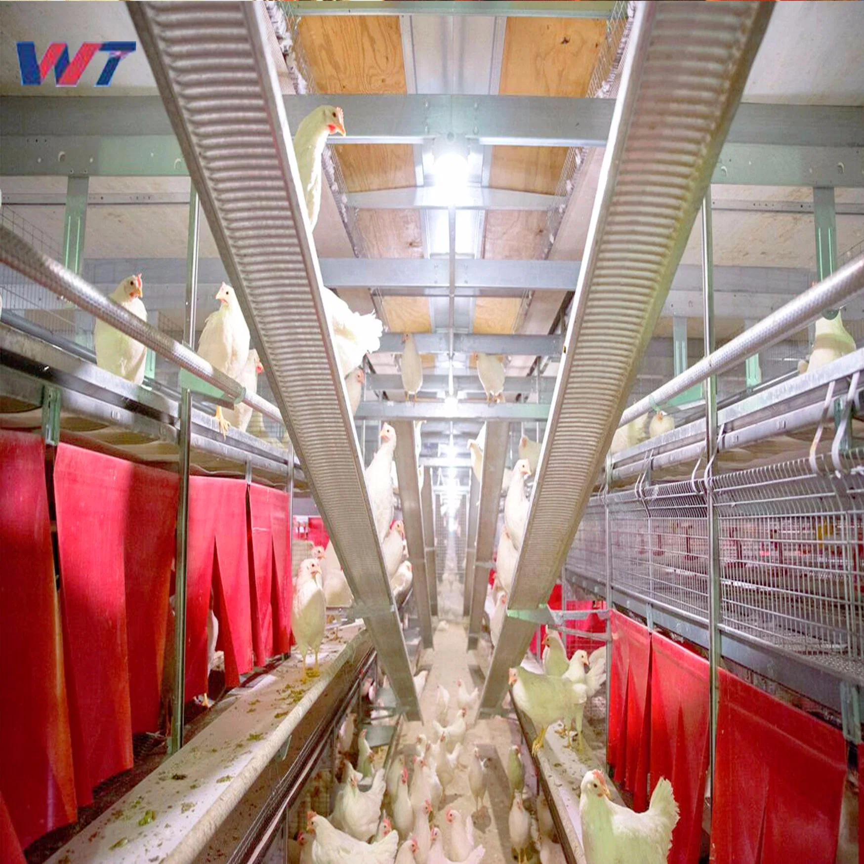 Estructura de acero prefabricados calidad aprobada para la capa de aves de corral pollo