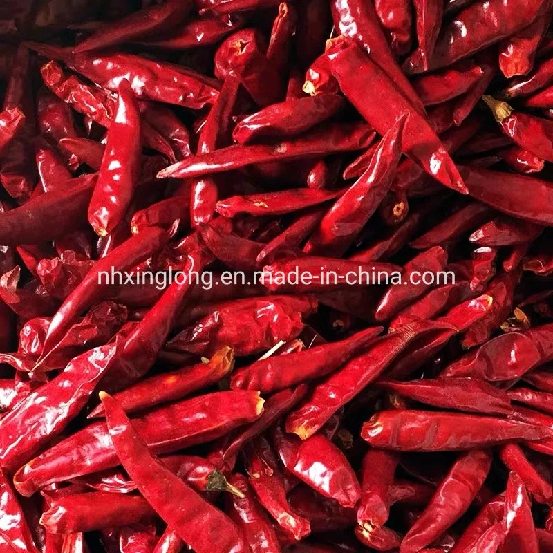 Hot Sale Dry Red Chilli Importers FDA