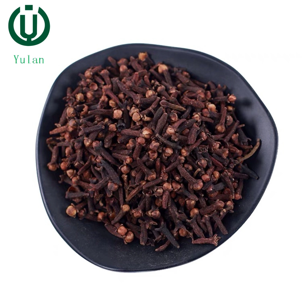 Wholesale/Supplier Factory Bulk Top Seller Spices Organic Dry Cloves