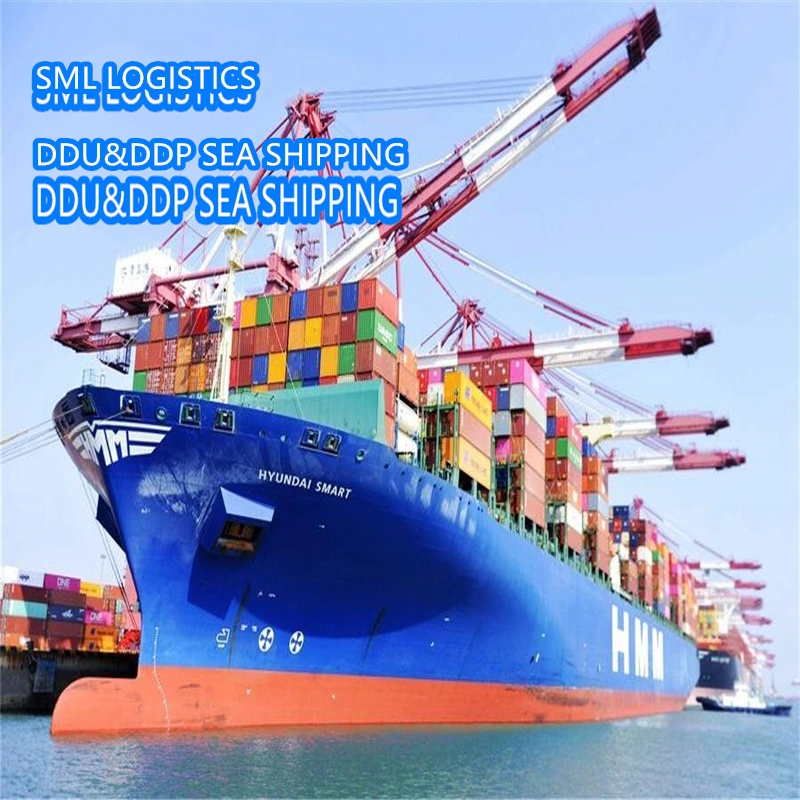 Sea Freight Shipping to Australia/UK/USA/Germany/France/Canada/ Netherlands/Thailand DDP Agents Logistics