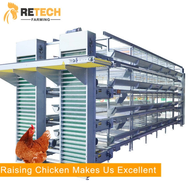 Vertical Hot DIP Galvanized Multi-Tier layer hen poultry farm raising equipment for egg laying