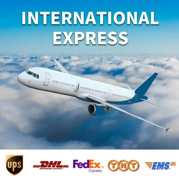 China a Brasil UPS FedEx DHL TNT Express Shipping cargo Servicio de Agente