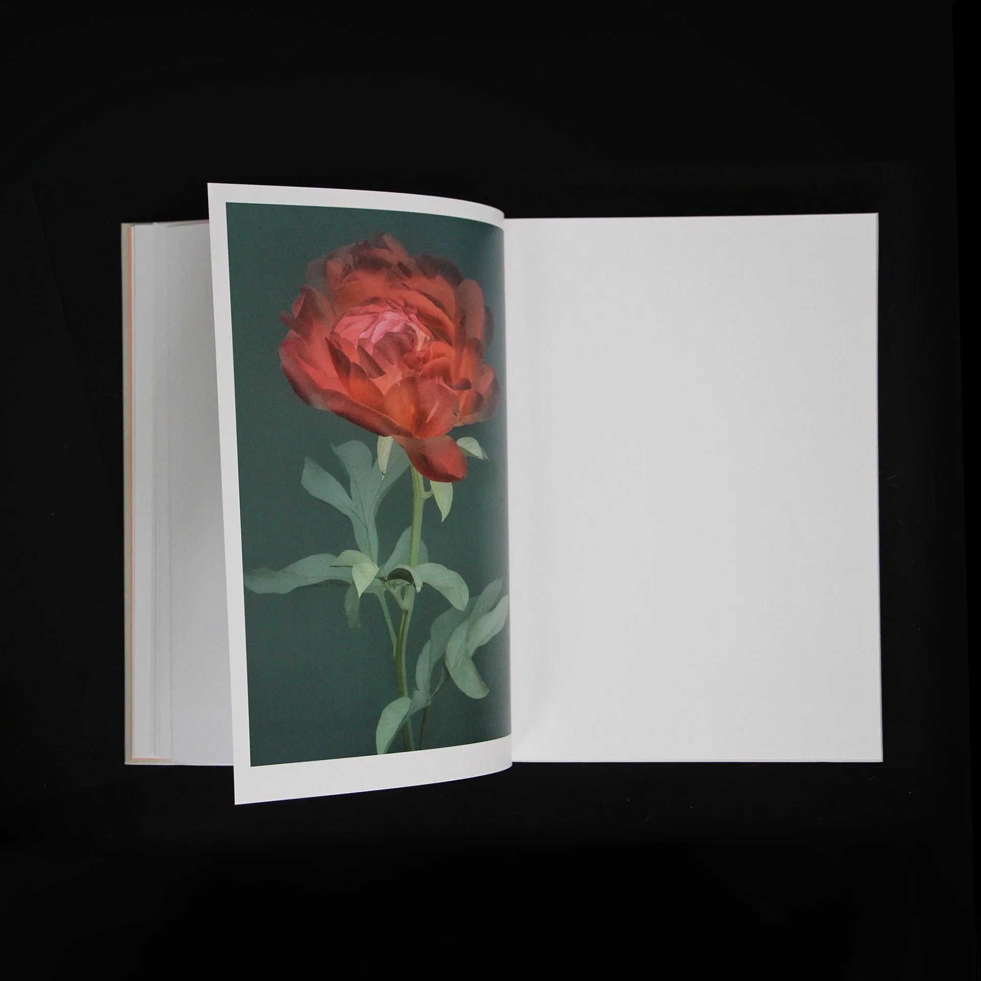 Custom Hardcover Photo Art Book Printing Hardcover Printing