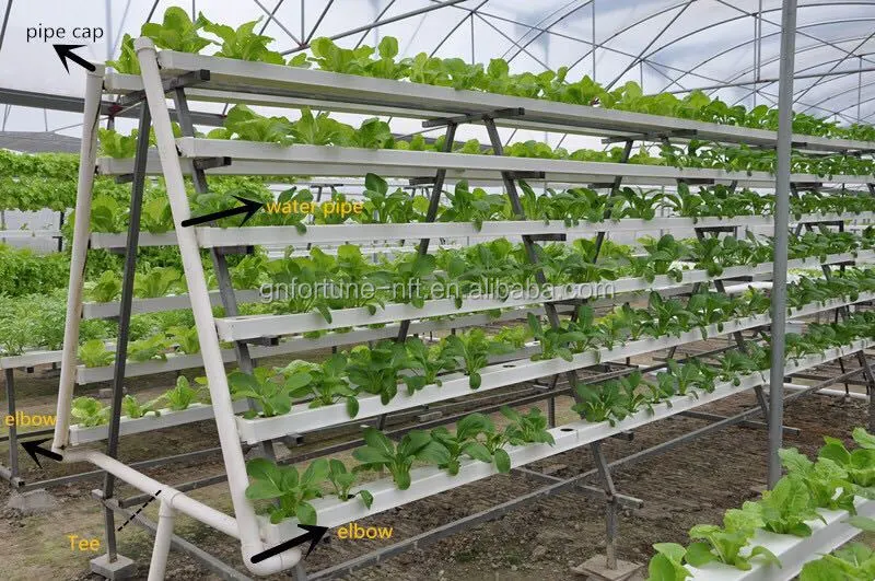 Hydroponics Channel for Hydroponic Growing System Hydroponic Greenhouse Systems