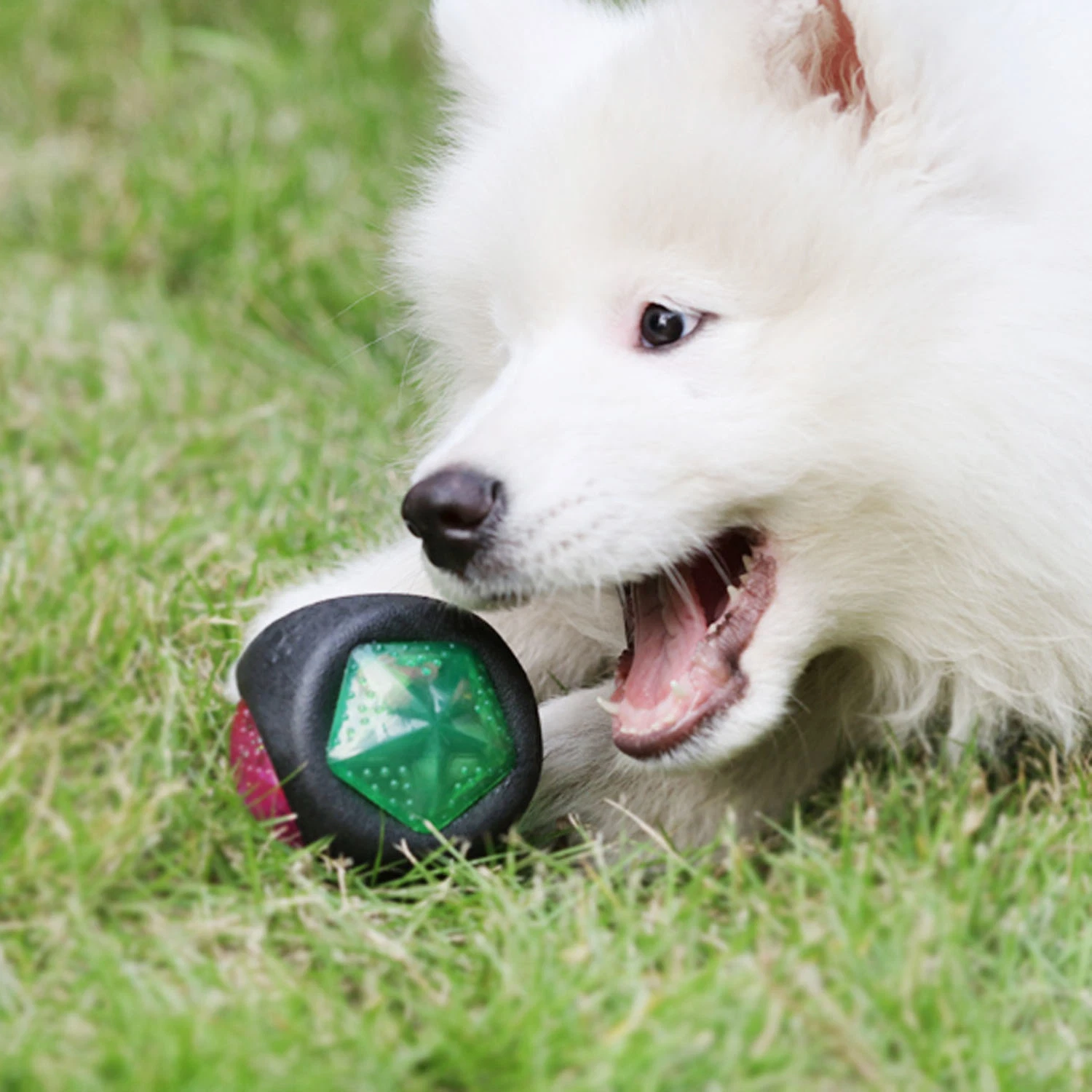 Dog Ball Elastic Flash LED Ball Bounce-Activated Squeaker Ball