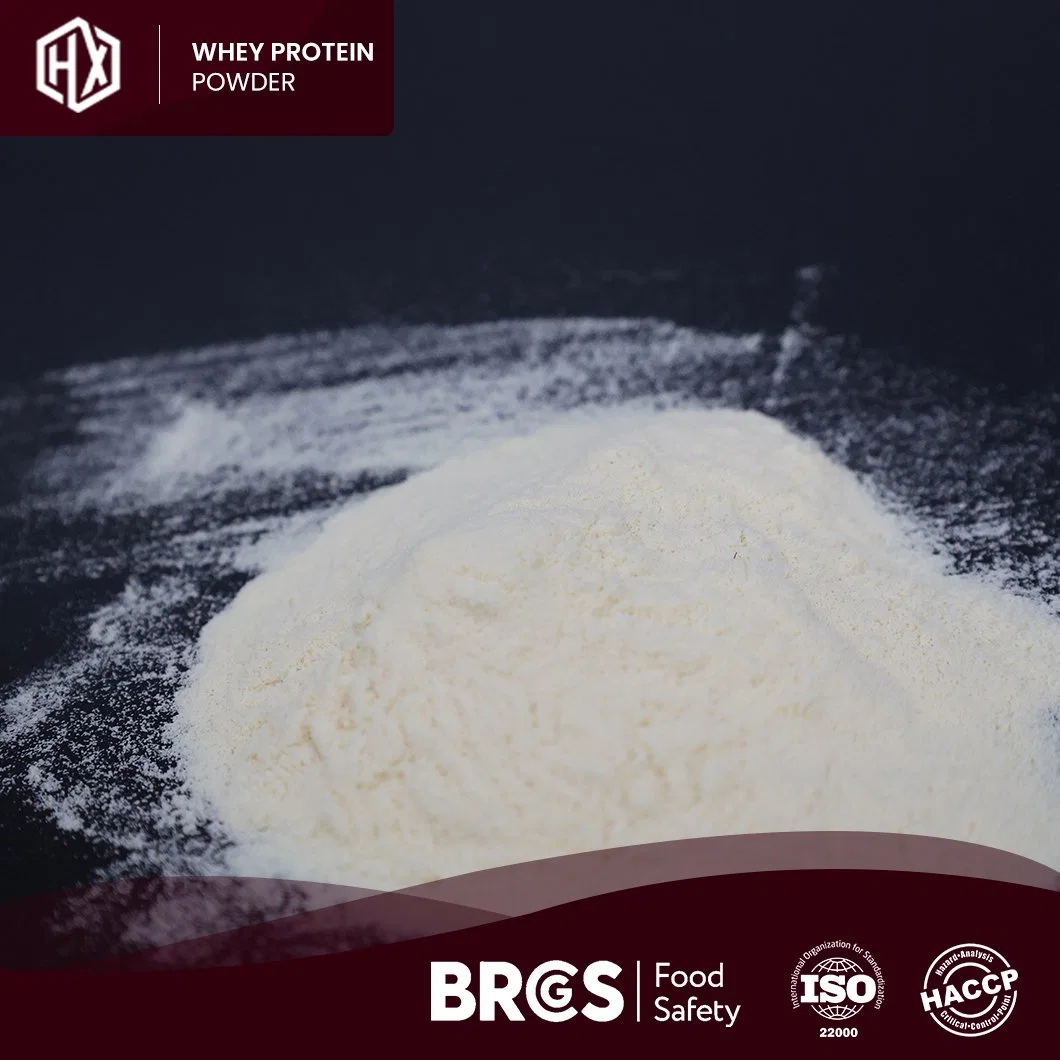 Haoxiang Imported Brand Native Whey Protein Light Yellow Powder Whey Protein Muscle Gain Manufacturers Whey Casein Blend Protein Powder Adjuvant Cancer Therapy