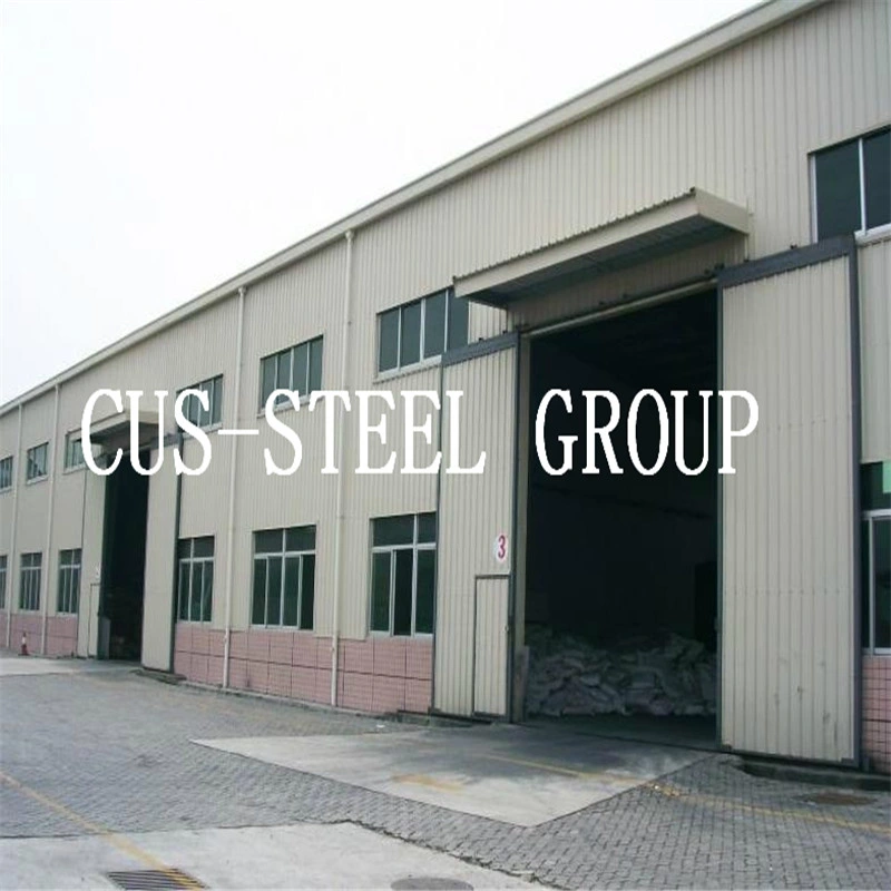 Low Cost Long Span Steel Building Project/Light Weight Steel Structure