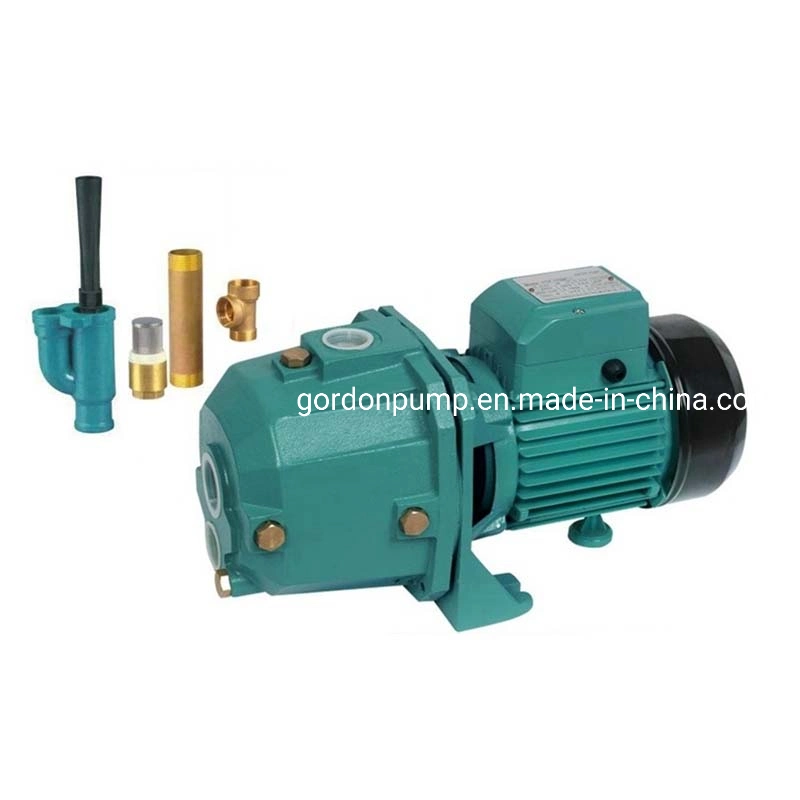 Electric Self Priming Deep Well Jet Pumps High Pressure Submersible Dp550A