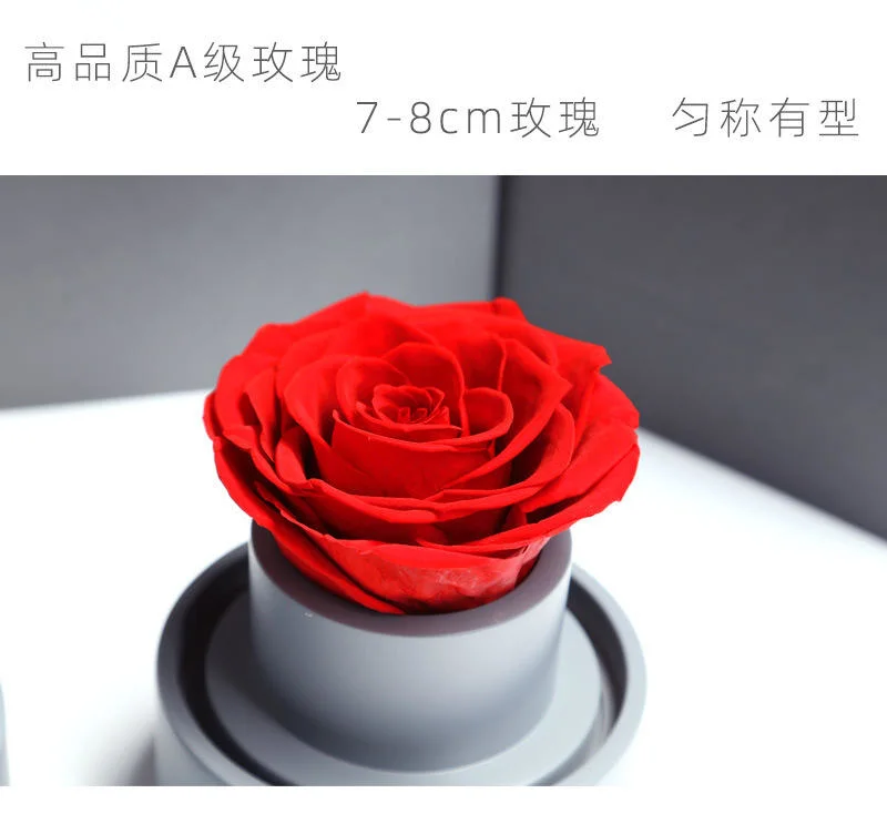 Wholesale/Supplier Preserved Flower Rose Hand Cranked Music Box Fresh Flower Natural Flower for Party Decoration