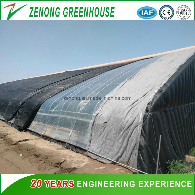 Chinese Po Film Greenhouse Solar Greenhouse with Cooling System for Growing Flowers/Tomato