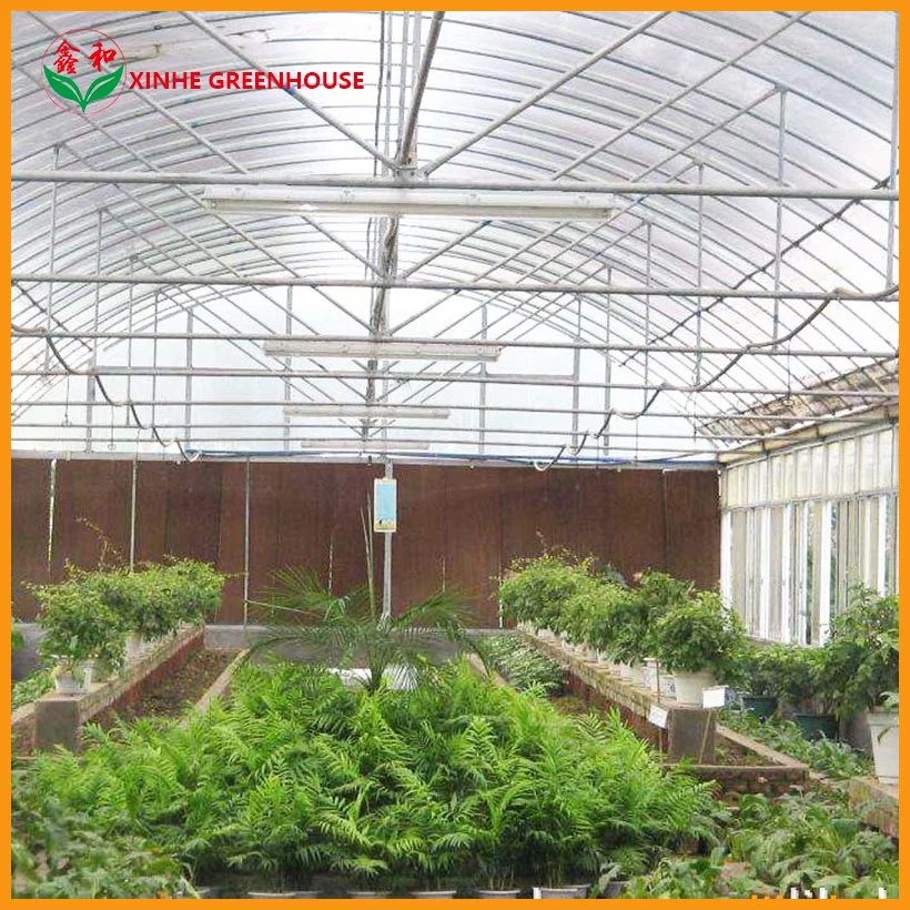 Smart Greenhouse with Electric Window for Hydroponics System