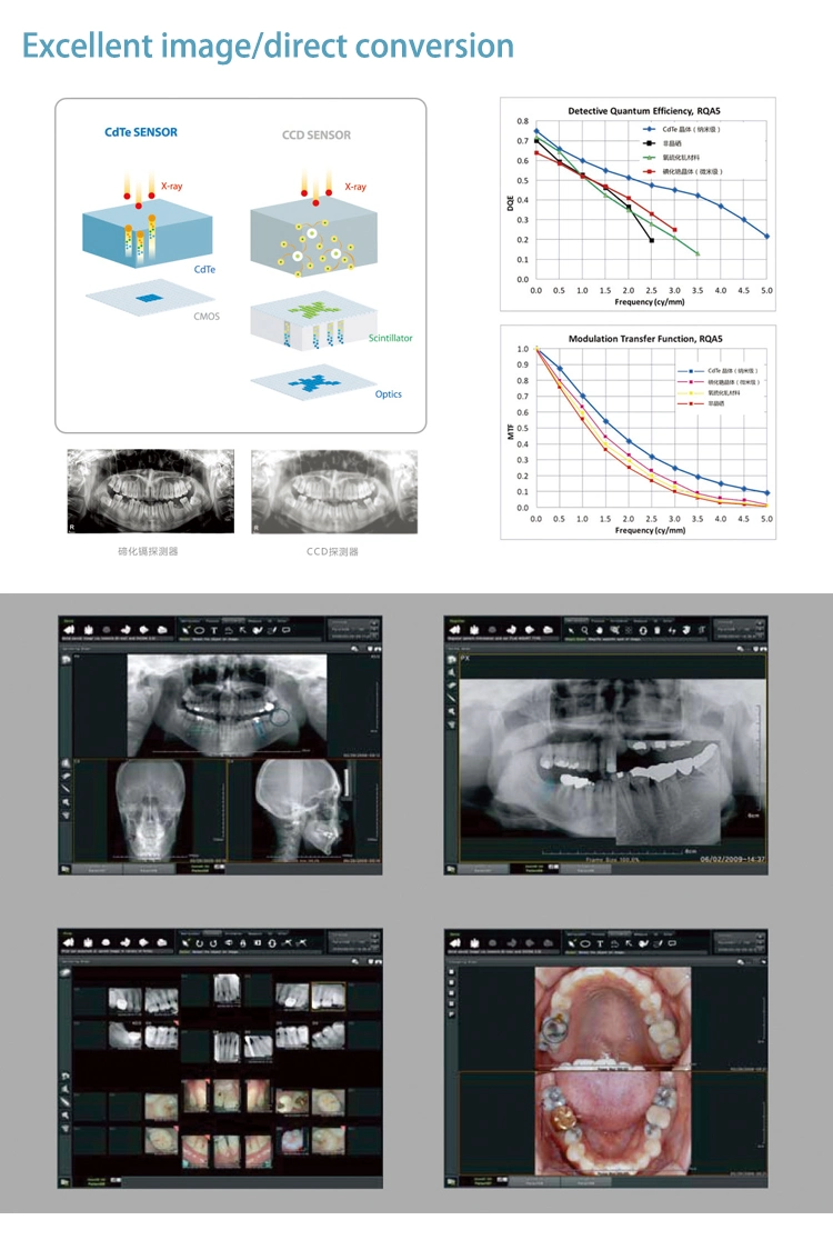 Digital Panoramic Dental X-ray Machine Other Medical Dental Equipments