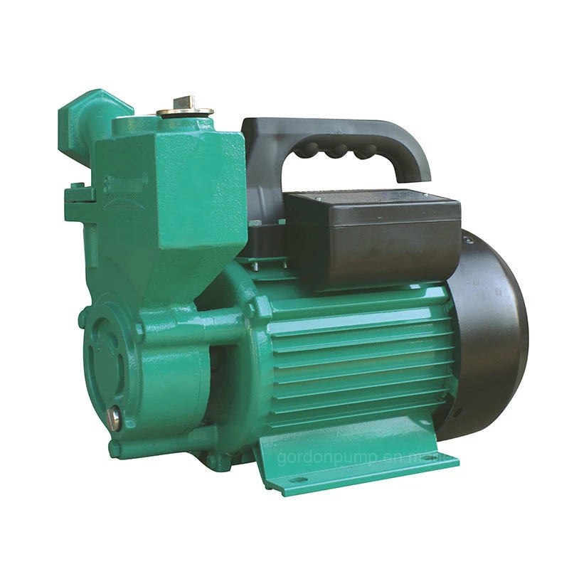 Wzb 100% Copper Surface Self Priming Vortex Household Pressure Water Pump