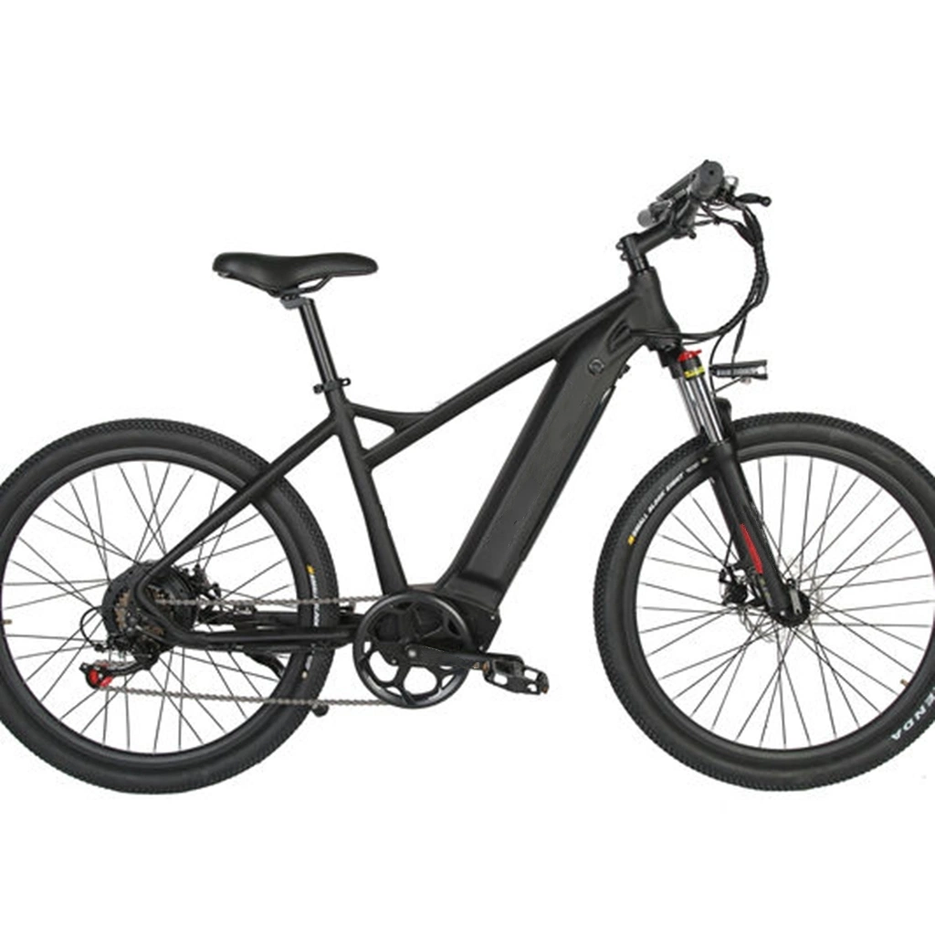CE chaud OEM Sports Vélos électriques intelligents 10,5Ah 40km de long way Moteur électrique vélos 48V 1000W pliable vélo électrique