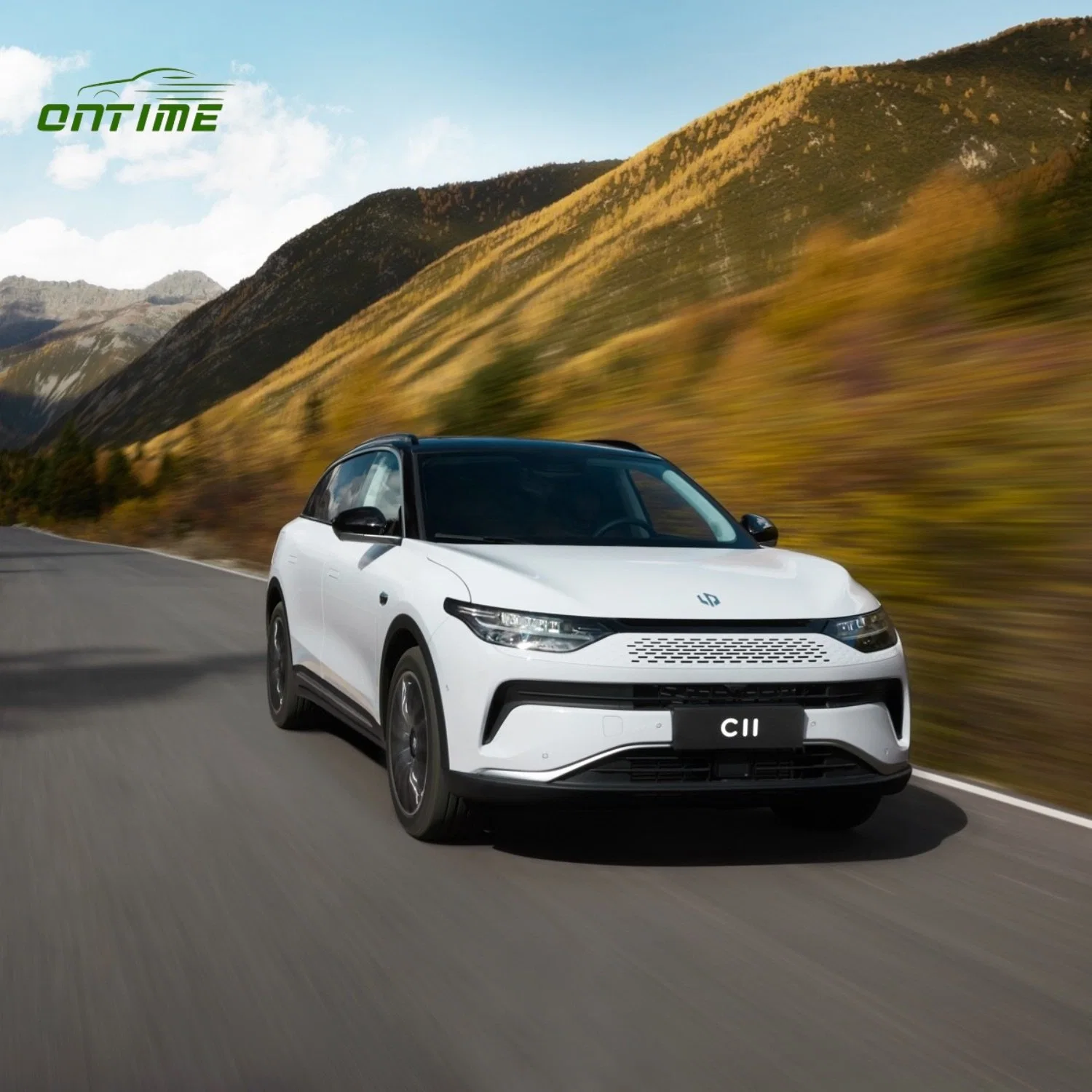 The New Energy C11 Is Equipped with an Energy-Saving Battery with a Range of 650 Kilometers and Is a Large Space SUV Intelligent Electric Vehicle